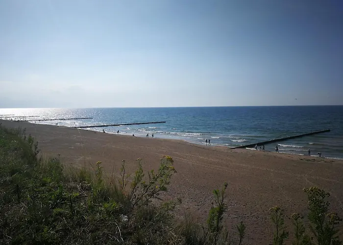 Apartment Flo Art 10 Min Do Plazy