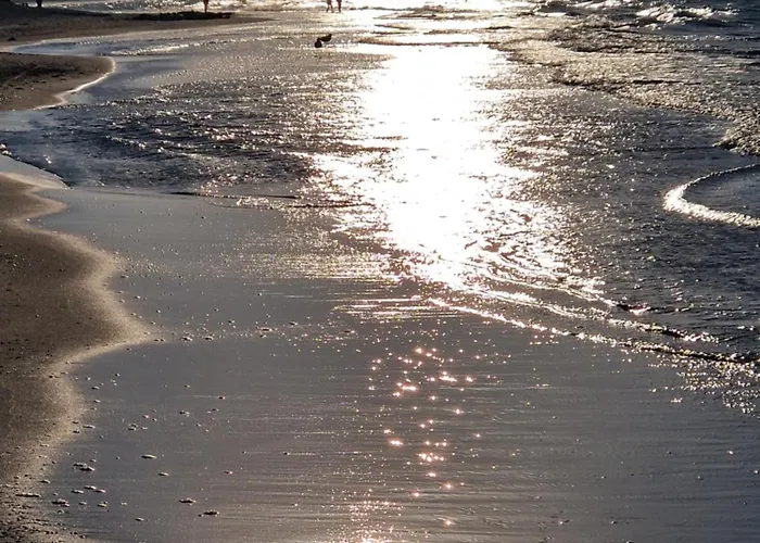 Flo Art 10 Min Do Plazy Apartment